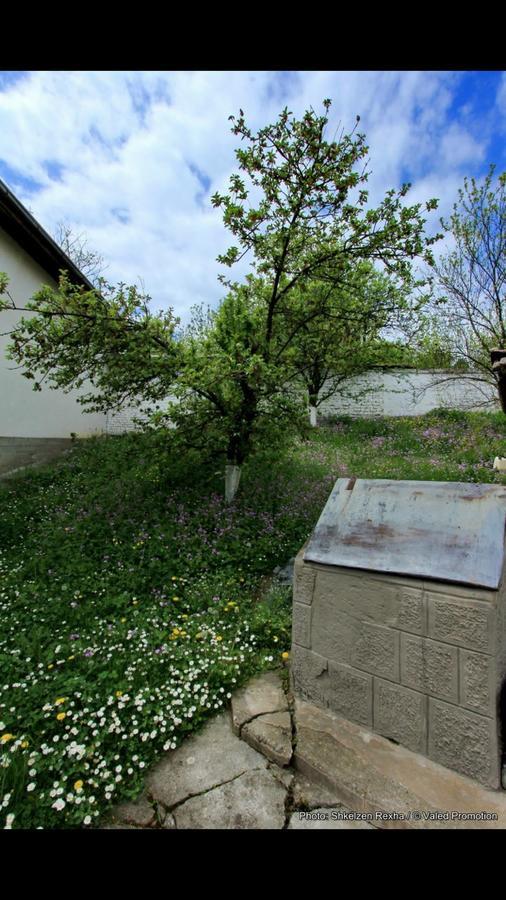 Bujtina Zhaveli Bed & Breakfast Gjakova Exterior foto
